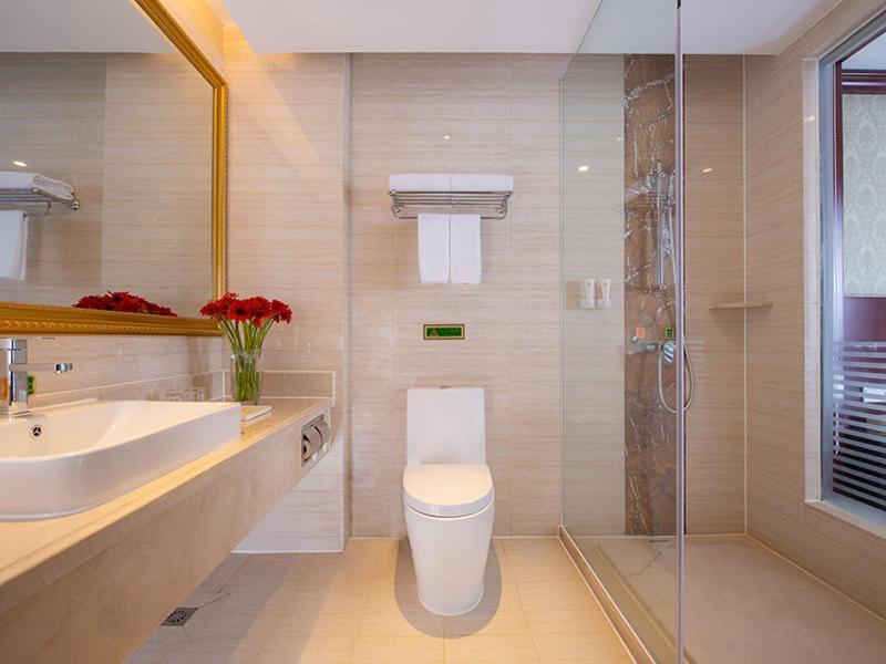 Vienna Shiling Hotel 3*