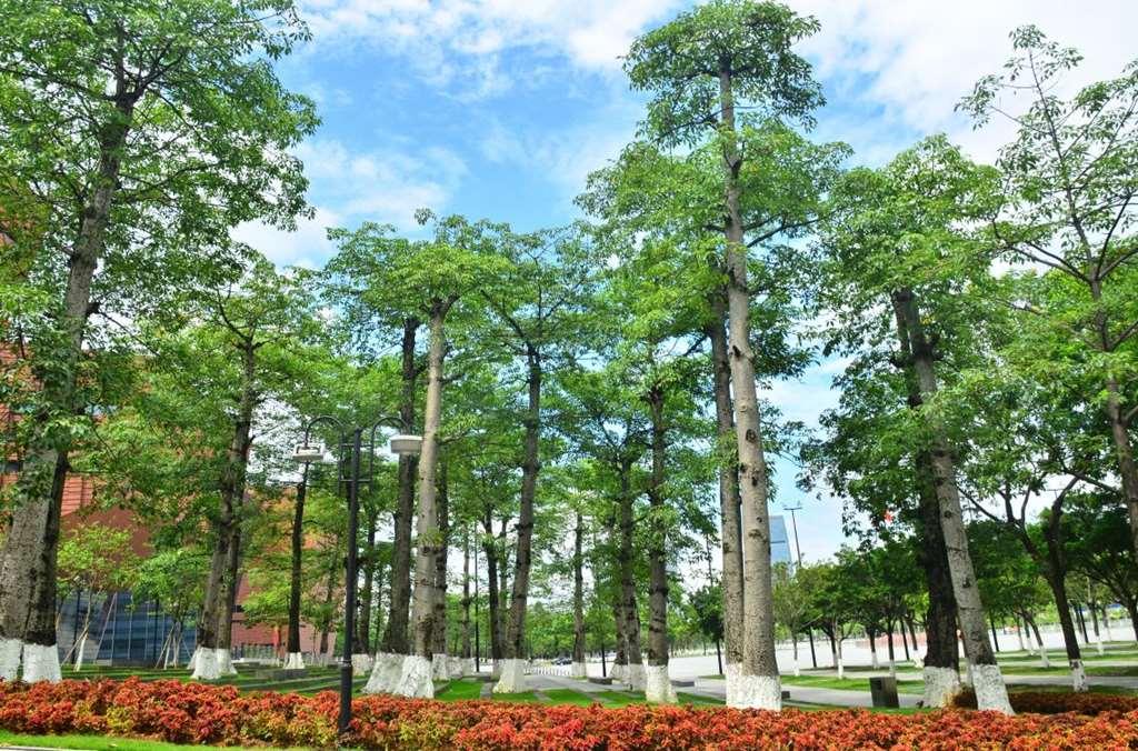 Hotel Baiyun International Convention Center