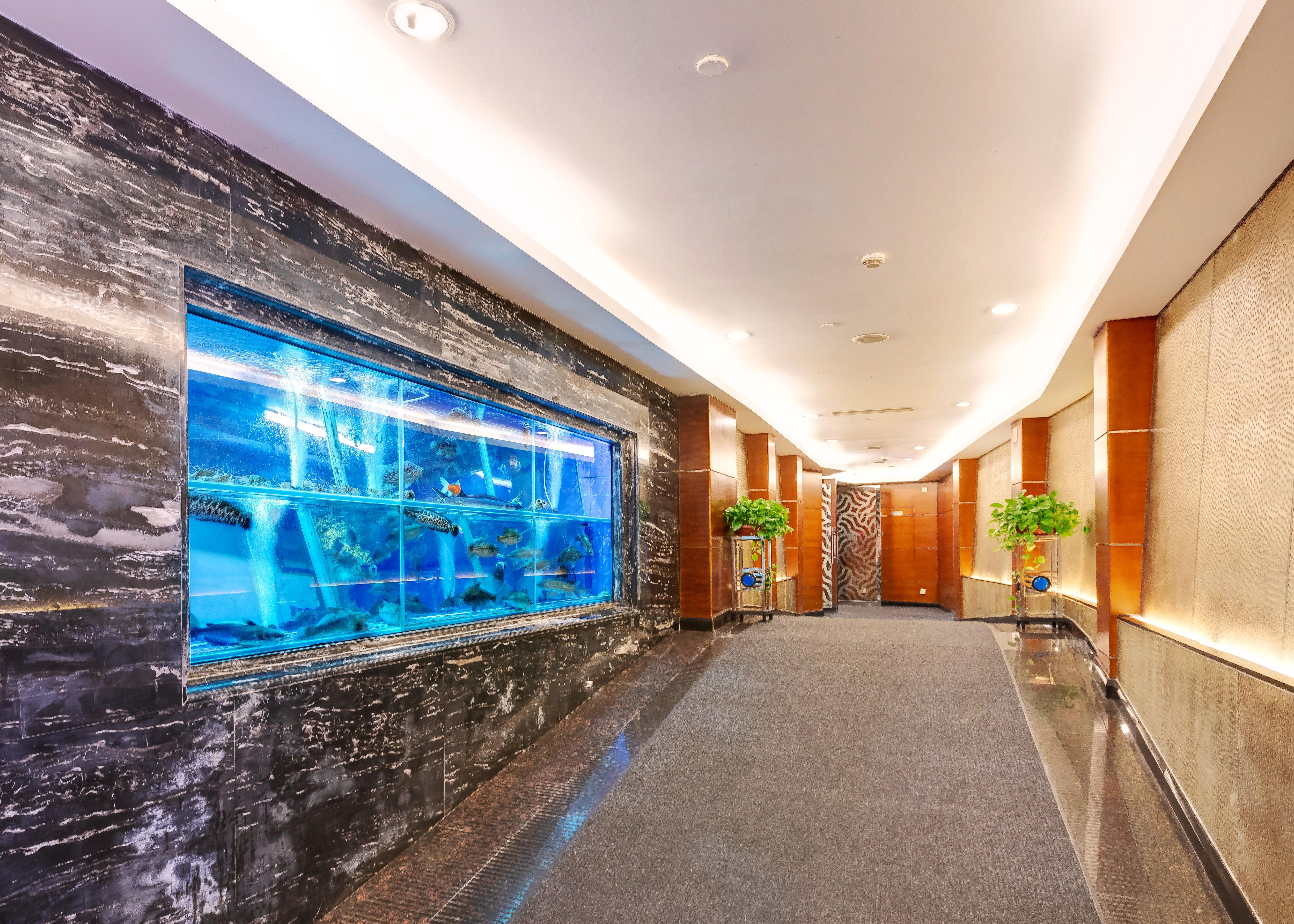Ocean - Free Shuttle Bus To Fair, Tao Jin Railway Station Hotel