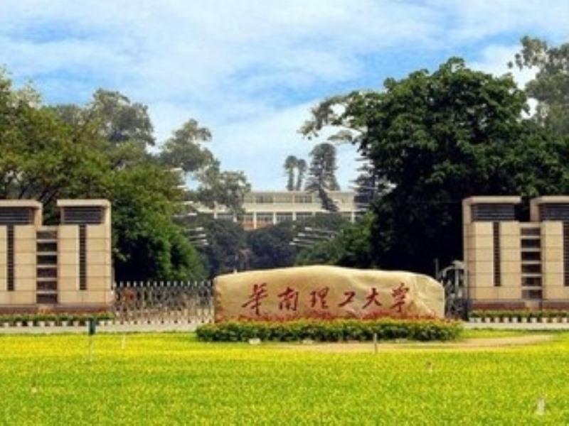 Greentree Panyu Chimelong Paradise Business 3*