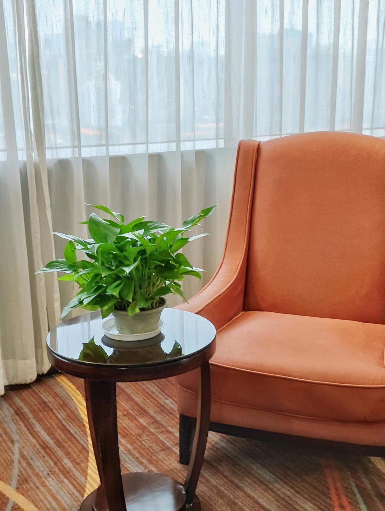 Skyline Plaza Hotel 4*