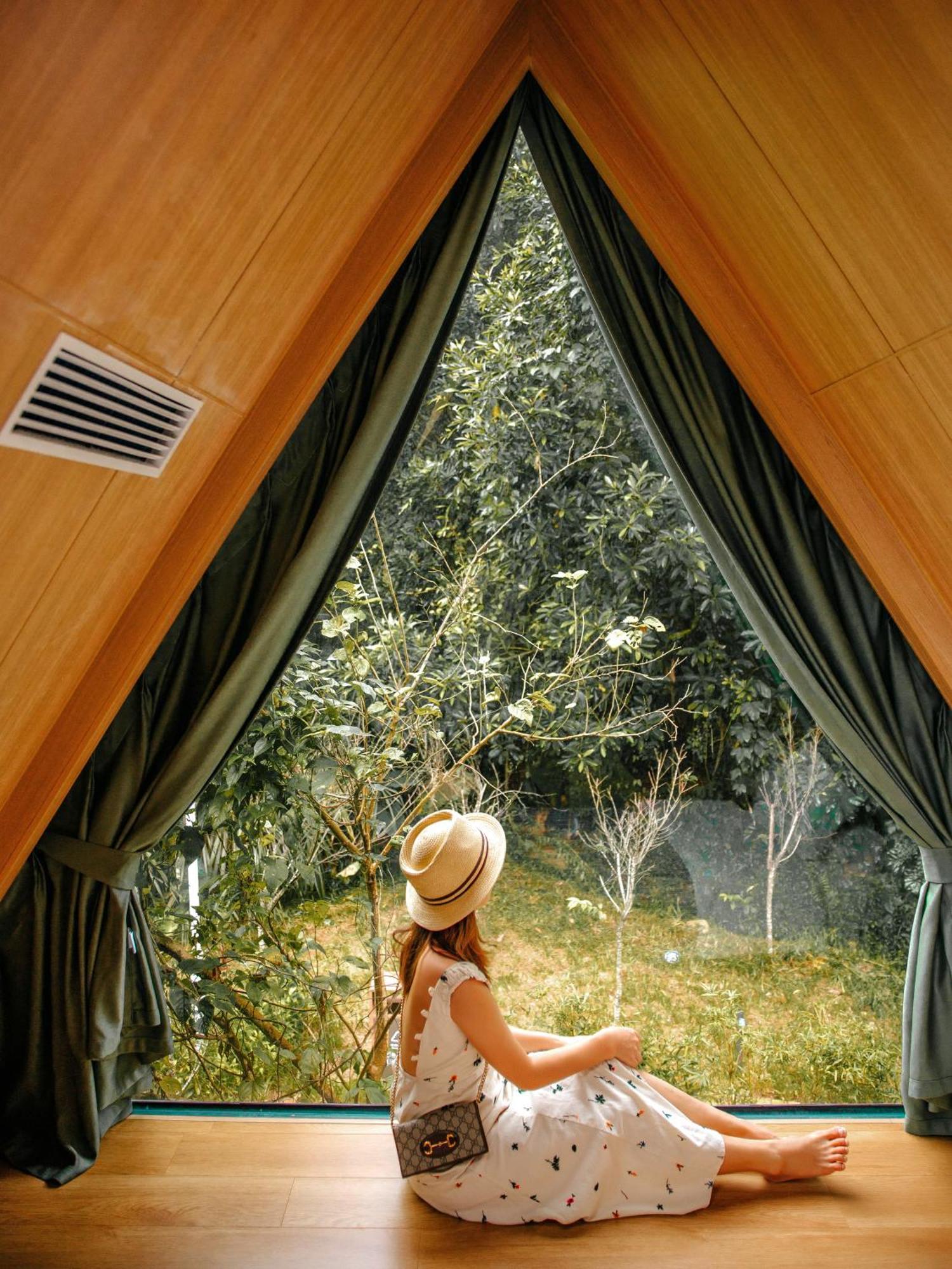 Itree Butterfly's Forest Huadu Homestay