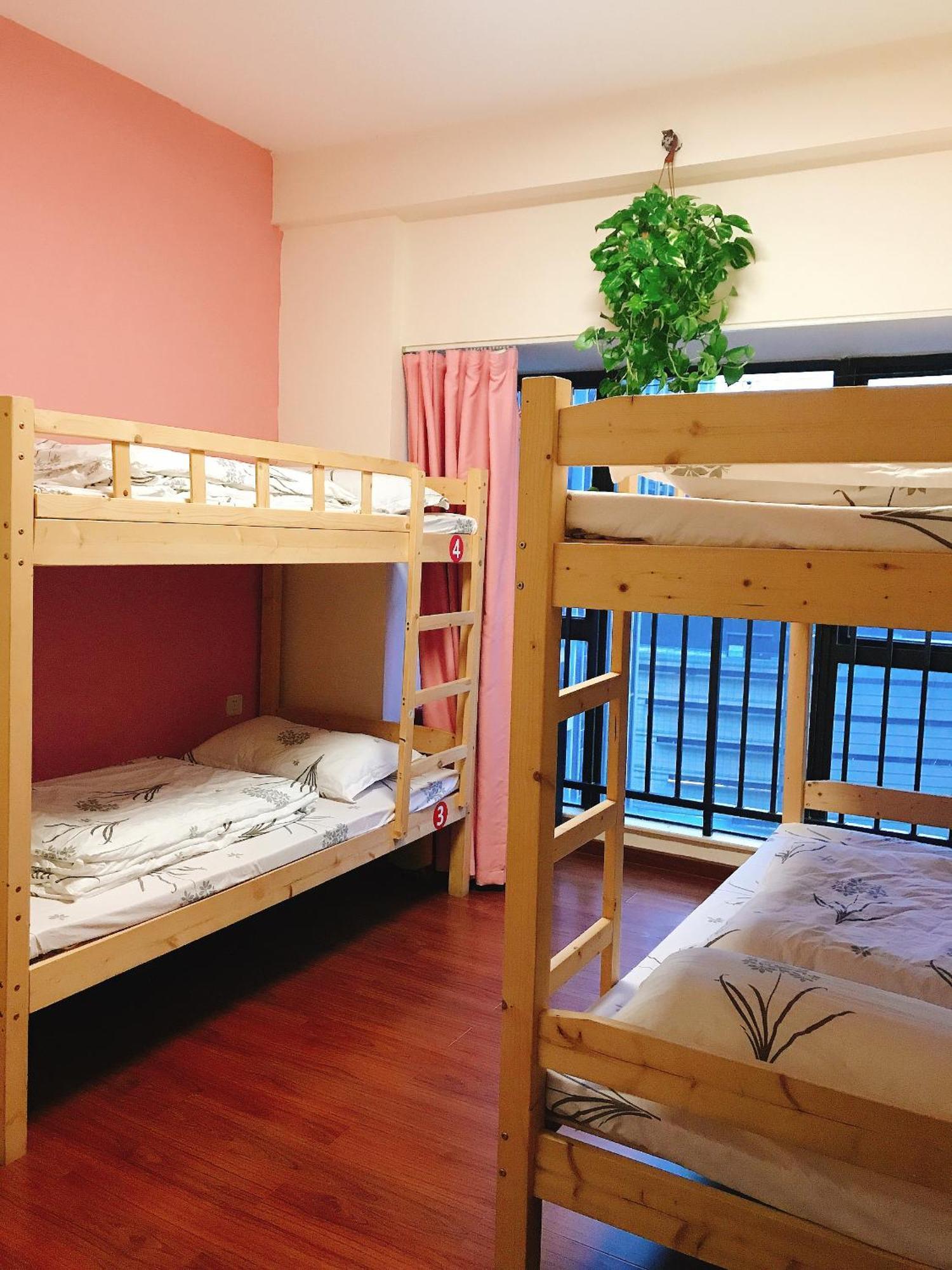 Hostel Yoyo Youth