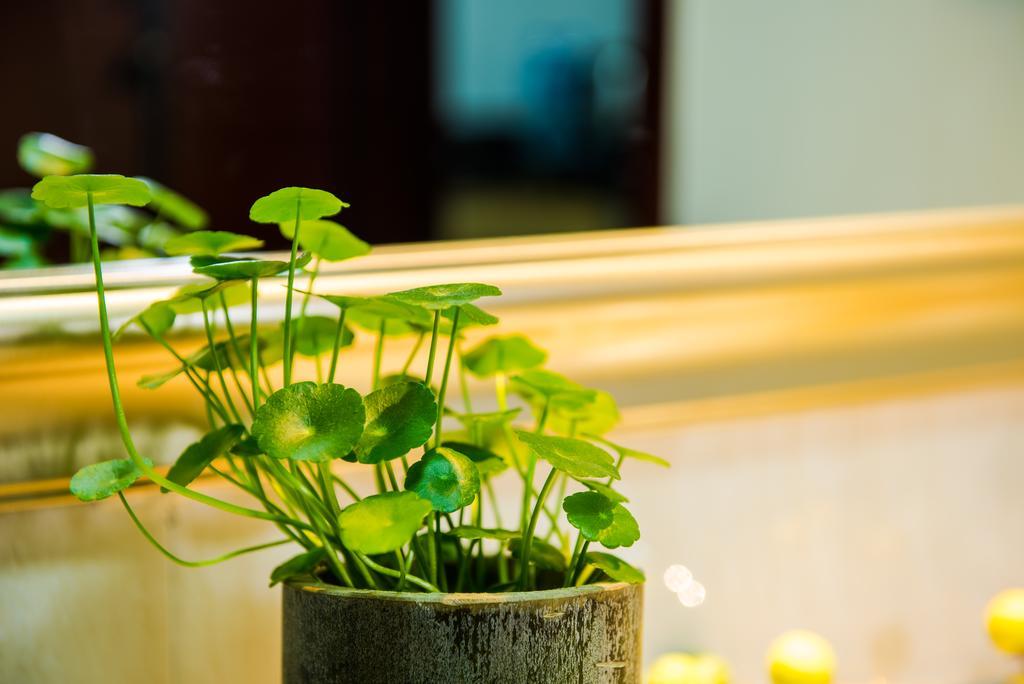 Apartemen Xizhengjia Pazhou Complex