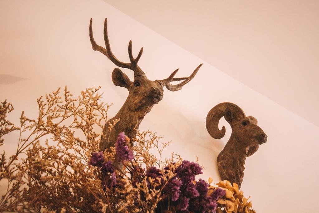 Magic Forest Boutique Coffee