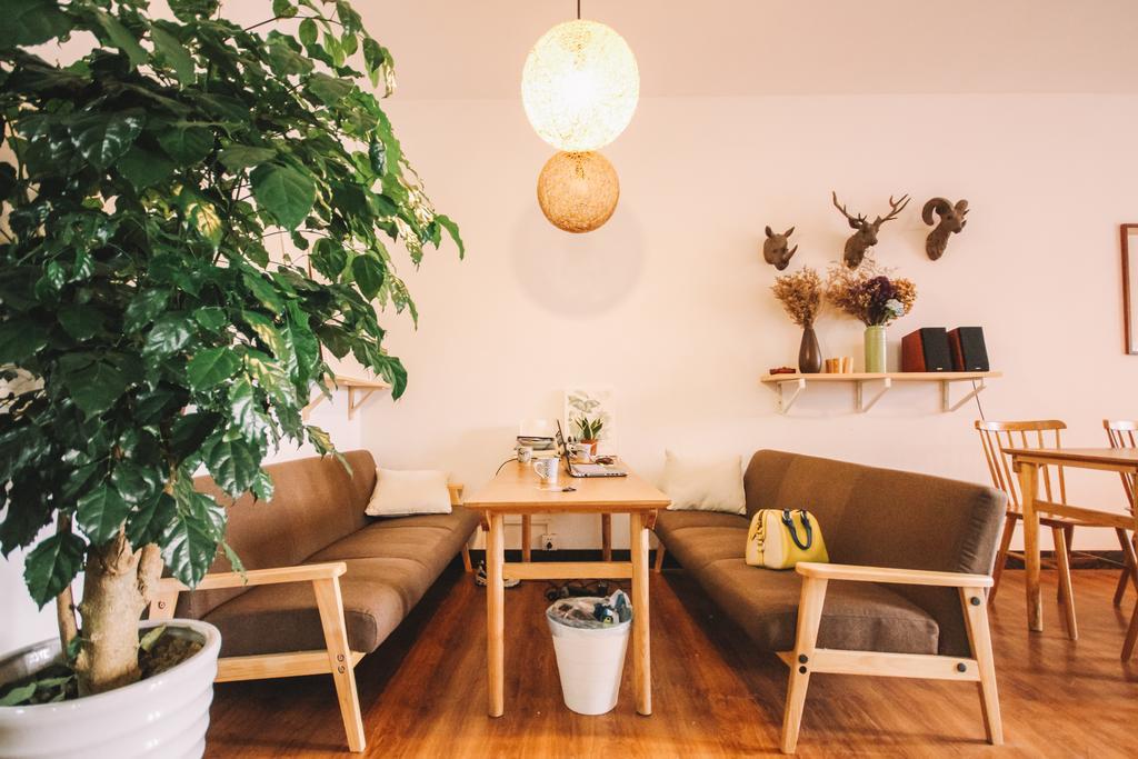 Magic Forest Boutique Coffee