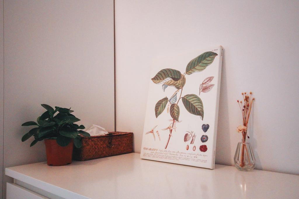 Magic Forest Boutique Coffee * Guangzhou