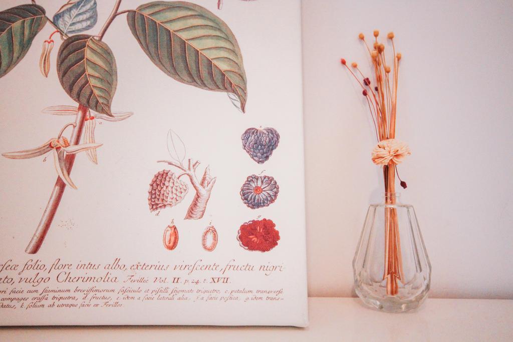Homestay Magic Forest Boutique Coffee