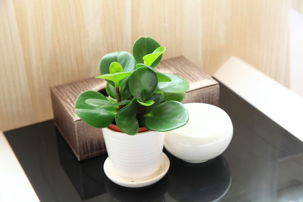 Hotel Shang Yuan Hotel Guangzhou