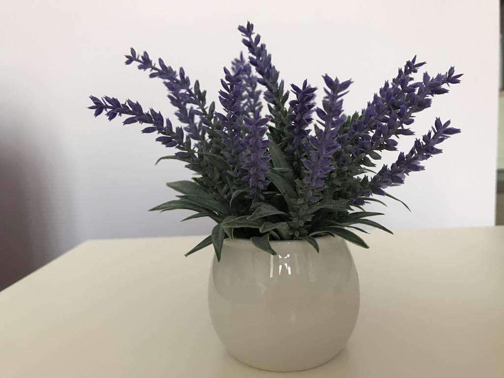 Apartment Lavender Guangzhou