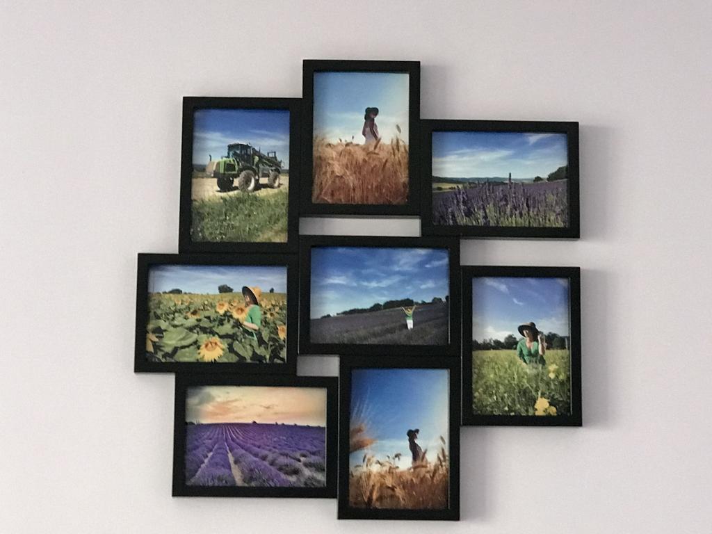 Apartment Lavender