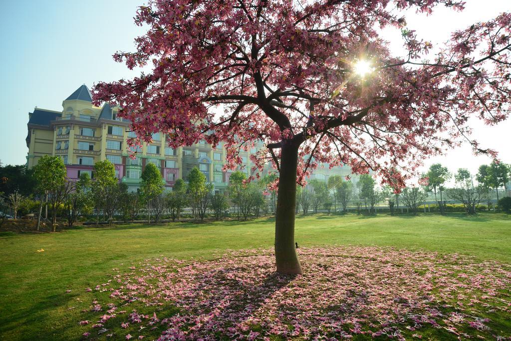 Floloving Guangzhou