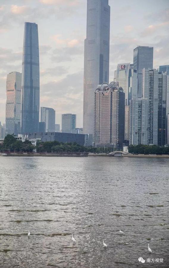 Xcellent International Serviced Guangzhou