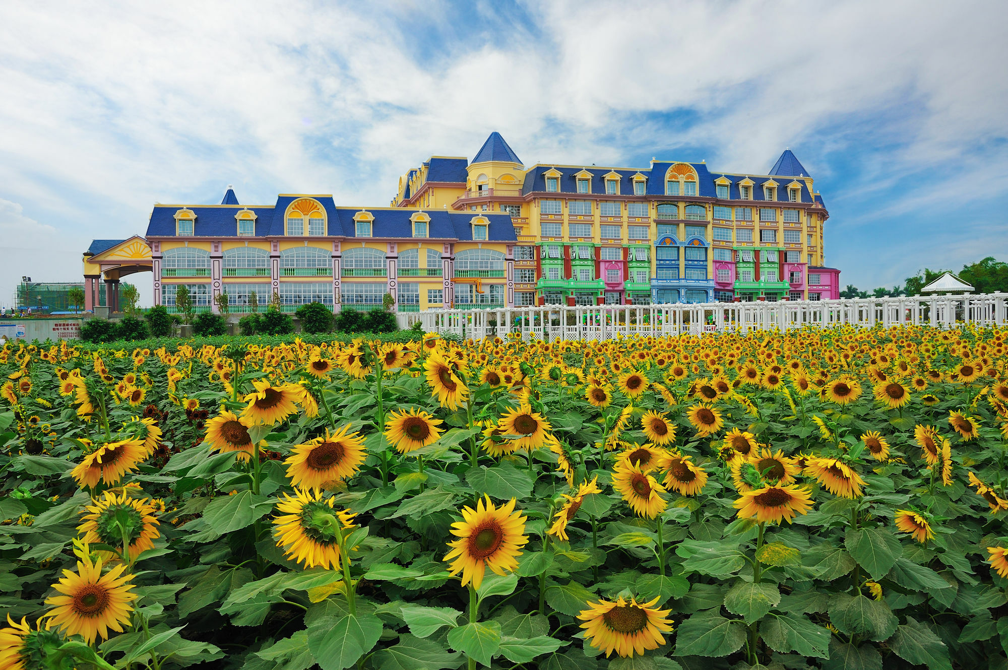 Hotel Floloving 5*
