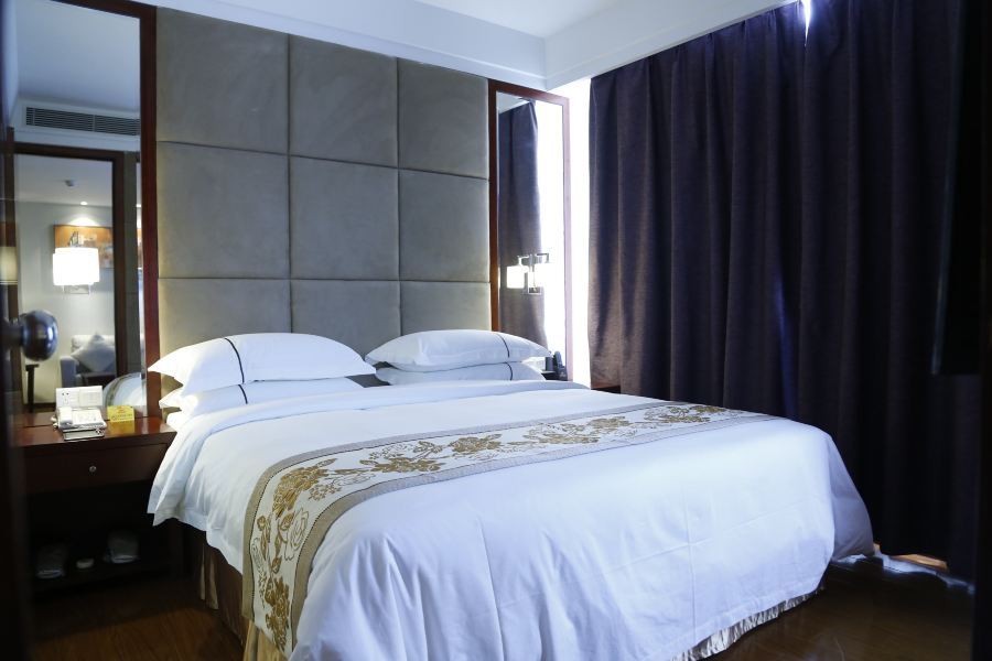 Hotel Borrman 3*
