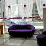 V8 Zhanqianlu