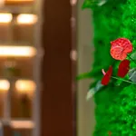 Ramada Encore By Wyndham Guangzhou Panyu