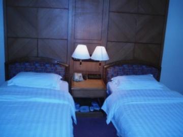 Gardford International 4*