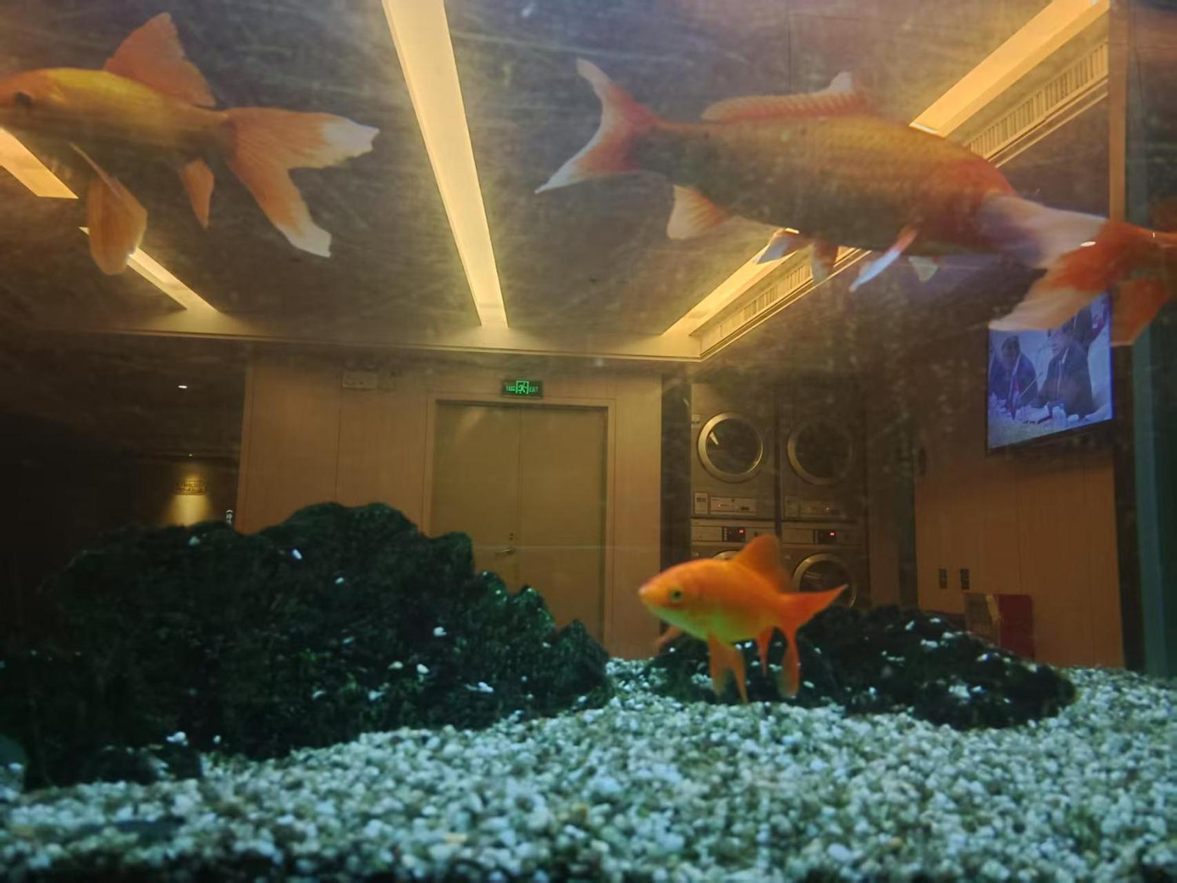 Hotel Paco Hotel Tianhe Coach Terminal Metro Satation Guangzhou-Free Shuttle Bus For Canton Fair 3*