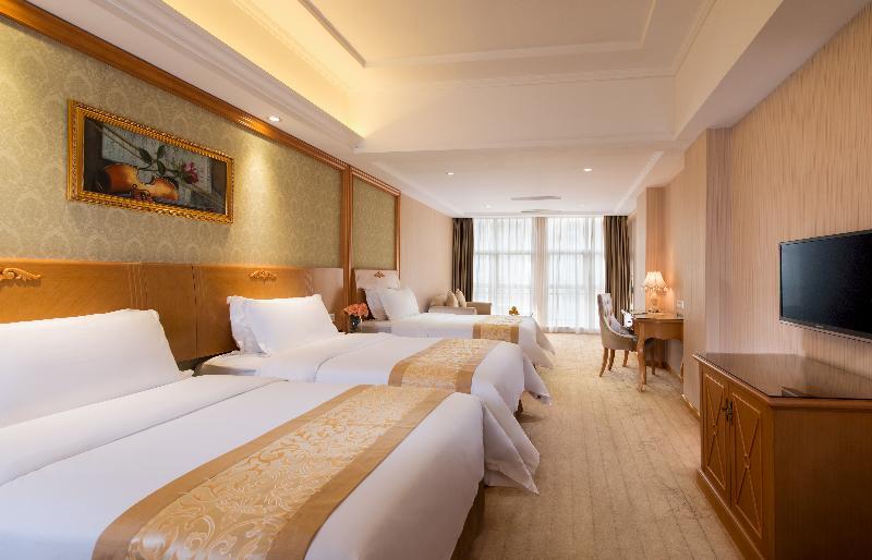 Hotel Vienna Panyu Dashi Qiao 3*
