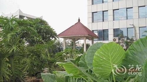 Hua Wei Da International Hotel 4*
