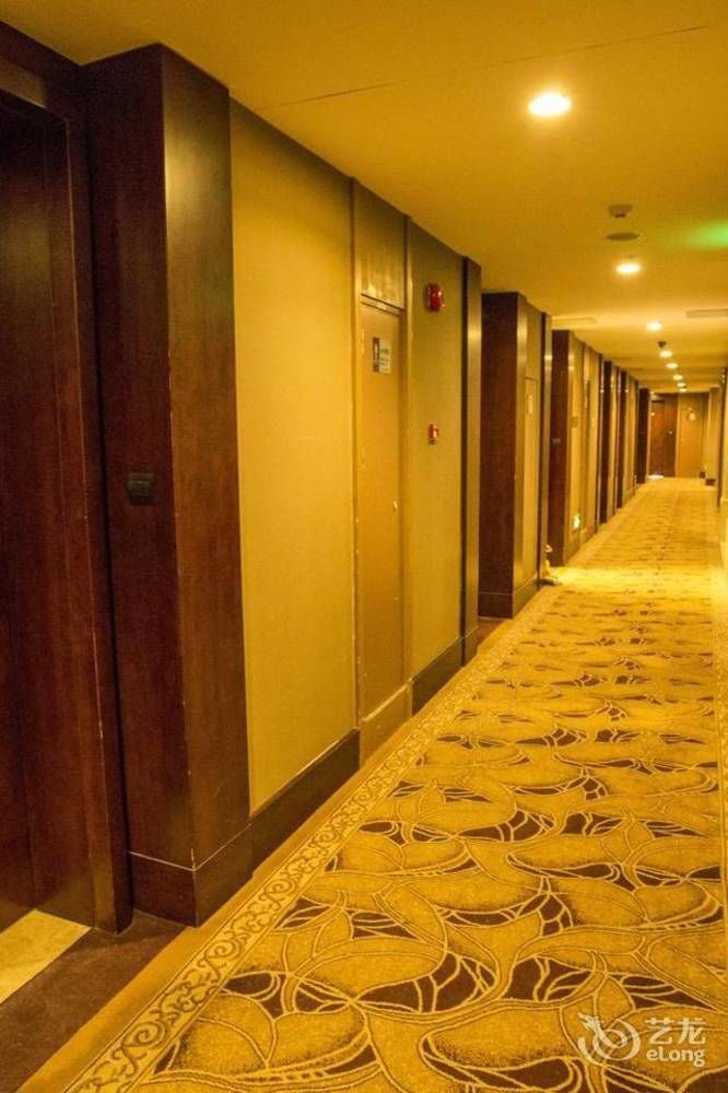 Tamrac International Apartment *