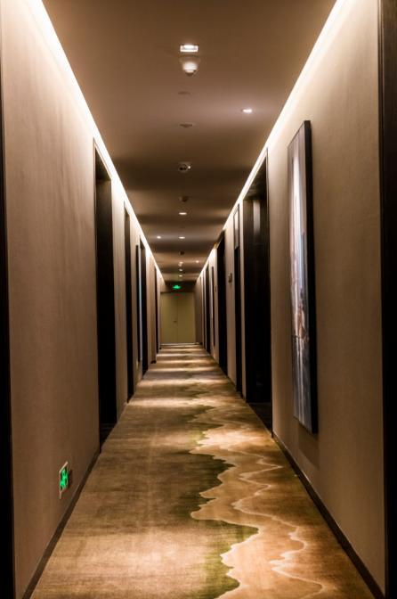 Pulin Business Dongchong Hotel