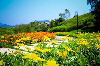 Hotel Country Garden Hot Spring Fogang 4*