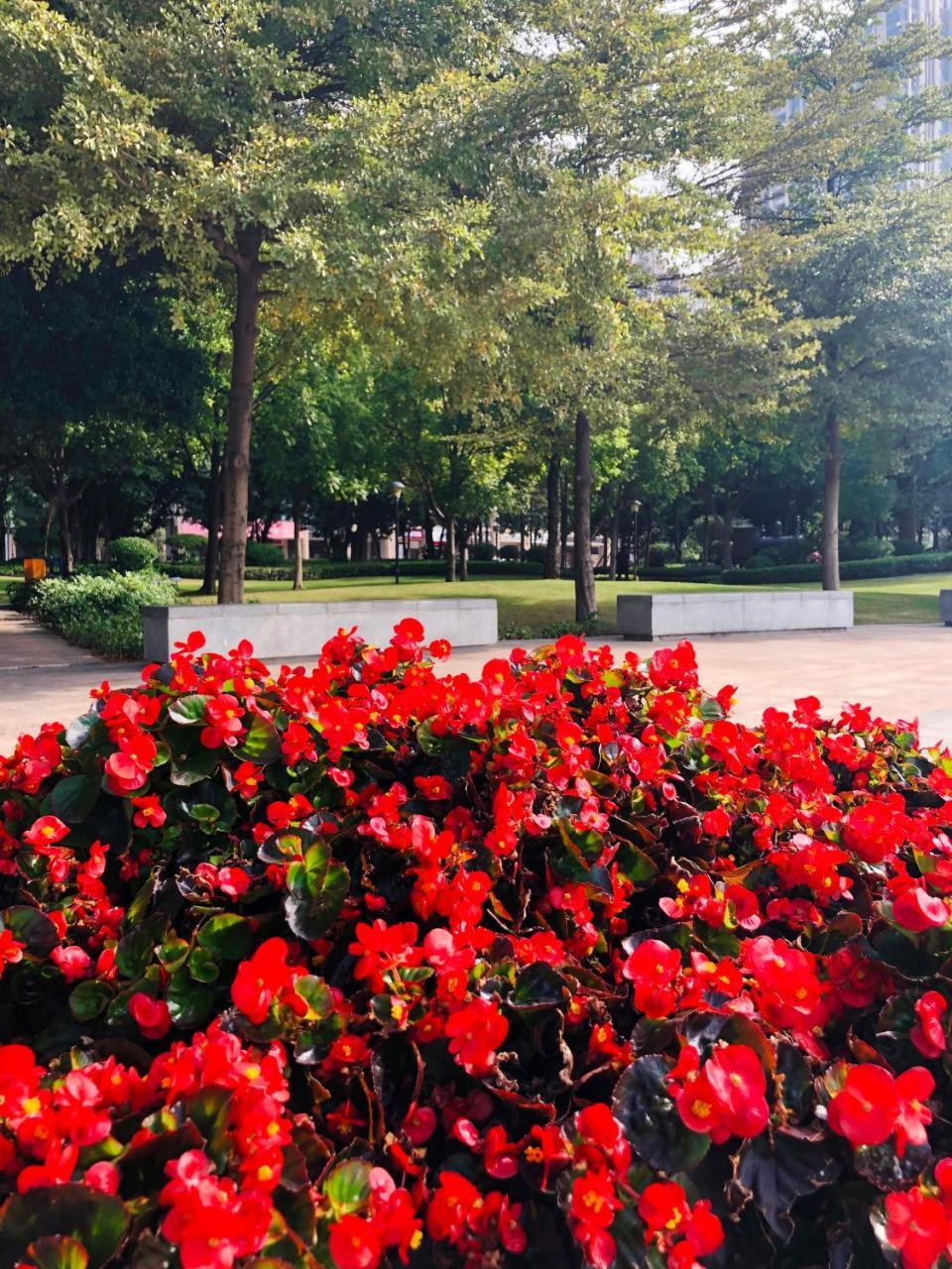 Royal Star Hotel Guangzhou