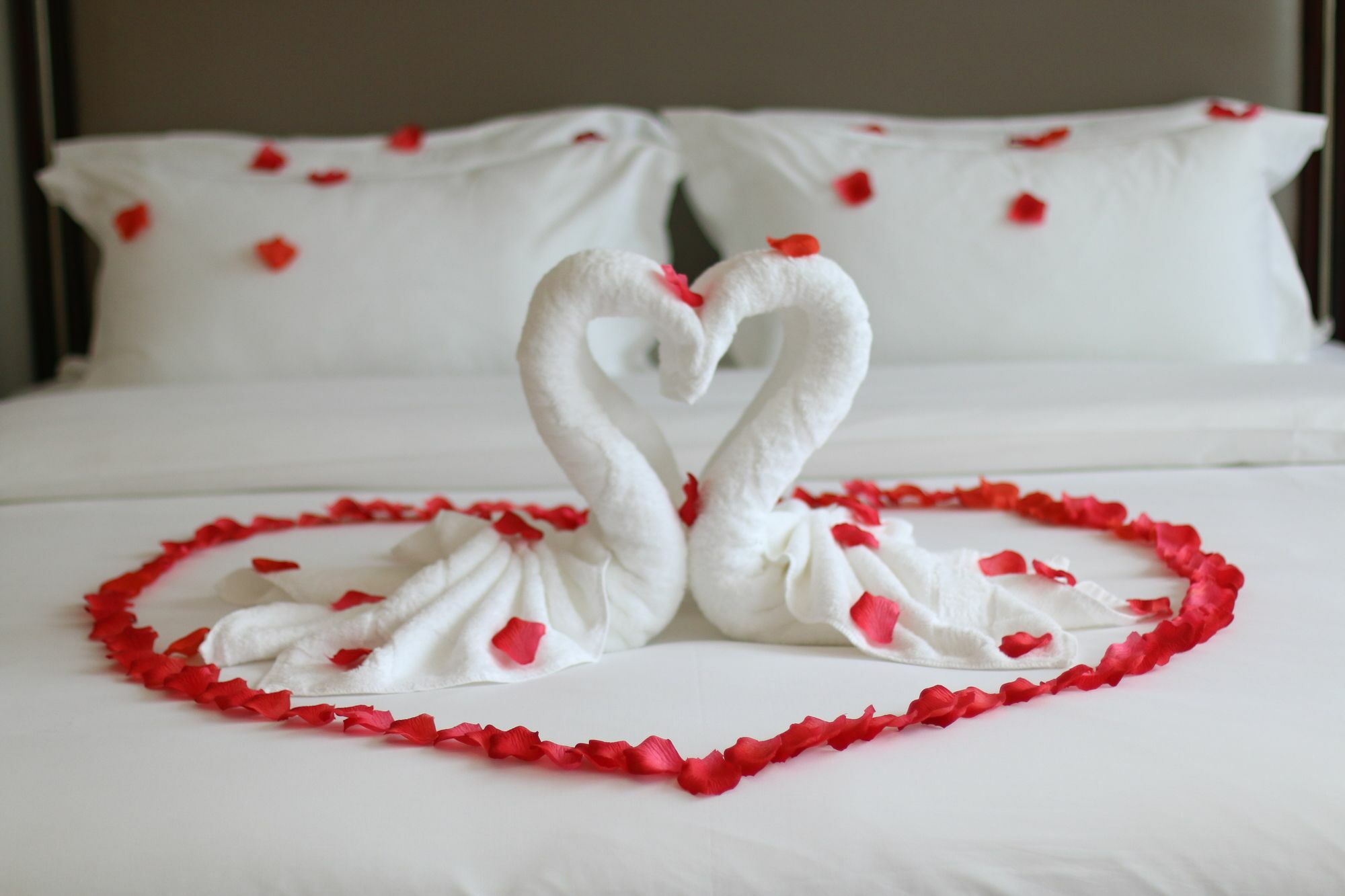 Hotel Winner 3*
