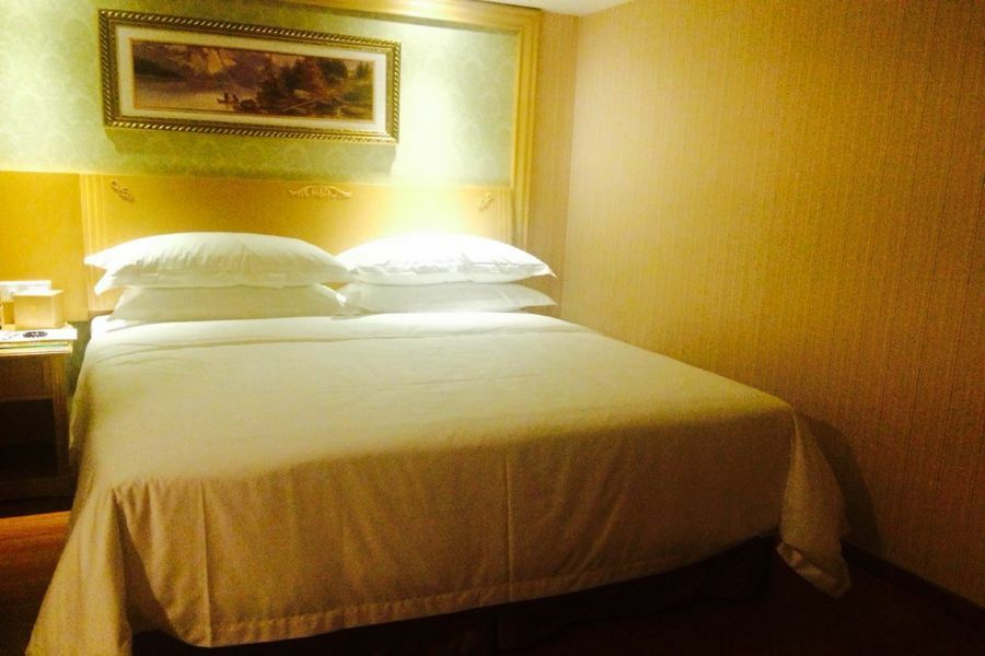 Hotel Vienna 3 Tower 3*